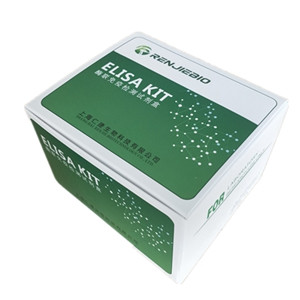 人丁酰胆碱酯酶（BuChE）ELISA试剂盒
