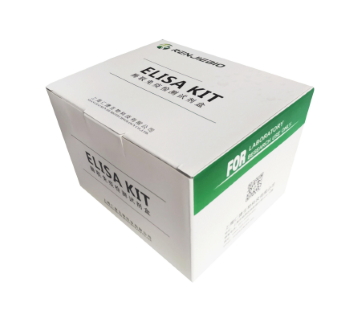 人血管生长素-2（ANG-2）ELISA检测试剂盒