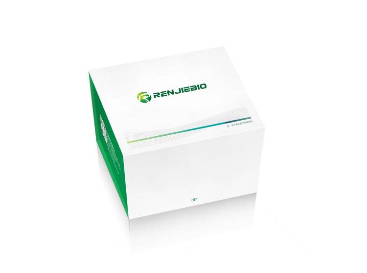 人异质核蛋白（HNRNPU）ELISA试剂盒